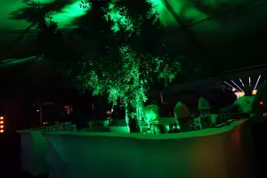 SUNRISE FESTIVAL Strefa VIP 2023