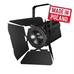 FRESNEL LED F250 WW