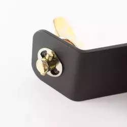 FastLock Omega + Omega bracket