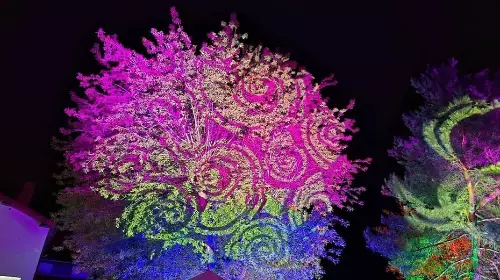 Pro Live Events Production