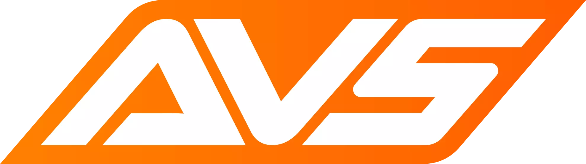 AVS - Audio Visual Security