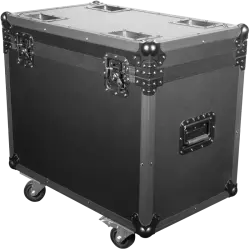 CASE FOR 2x WASH FX 300