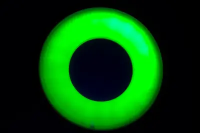 RetroONE dla BlindONE