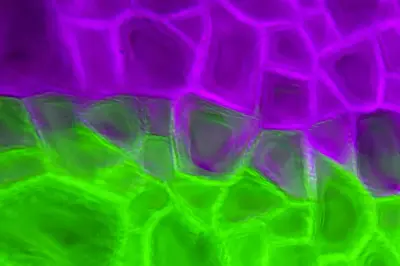 AquaFX 200