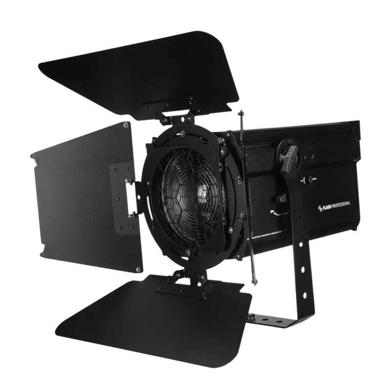 FRESNEL LED F250 WW