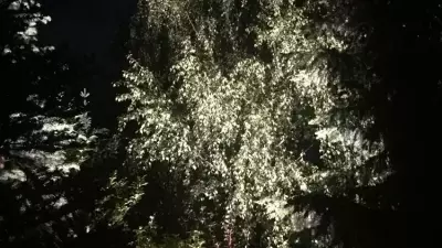 PAR64 LED P710 ALU T