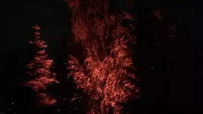 PAR64 LED P710 ALU T